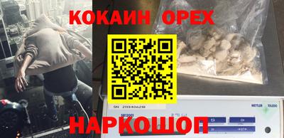 шишки Ноябрьск