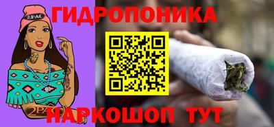 шишки Ноябрьск